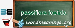 WordMeaning blackboard for passiflora foetida